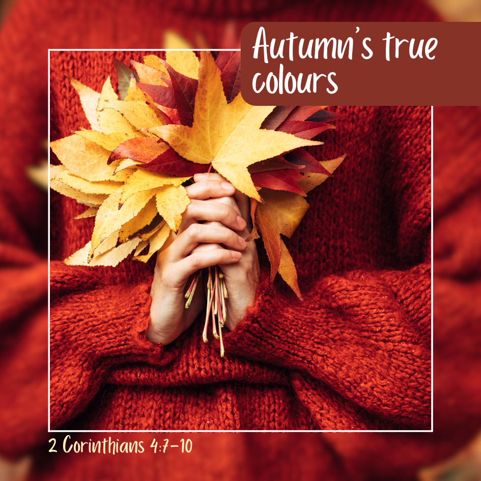 Autumn’s true colours