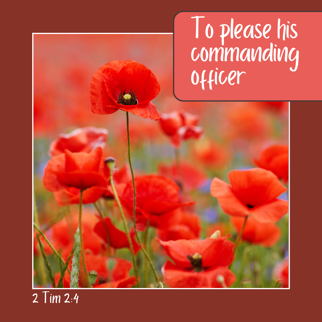 To please his commanding officer